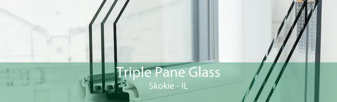 Triple Pane Glass Skokie - IL