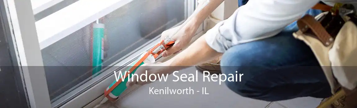 Window Seal Repair Kenilworth - IL