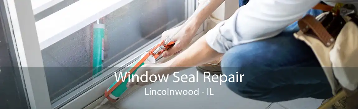 Window Seal Repair Lincolnwood - IL